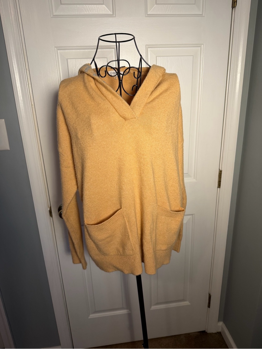 Calvin Klein Women's Hooded V-Neck Sweater in Pale Yellow